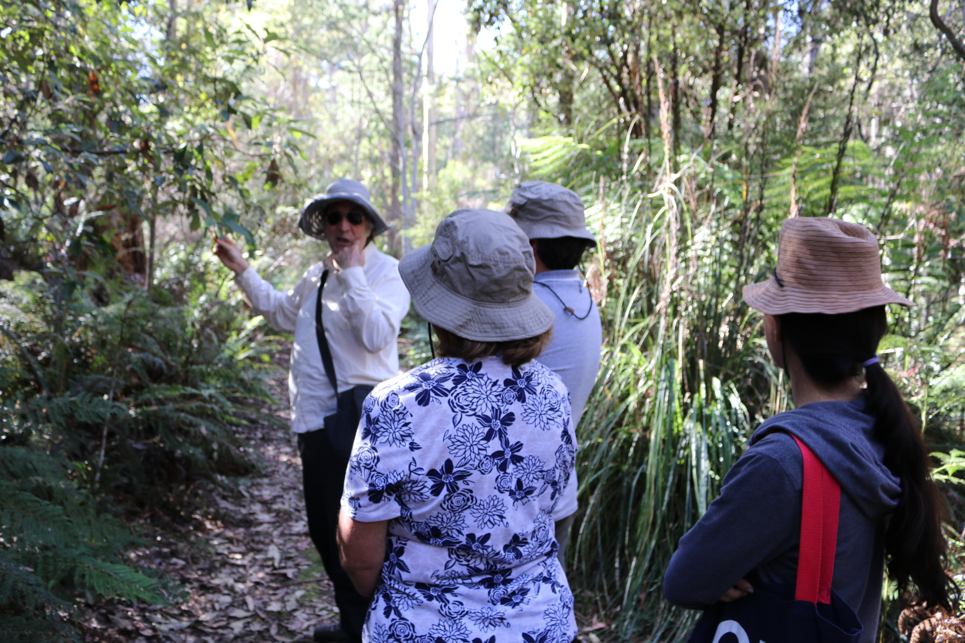 A walk in the forest with Sean Cadman, Great Western Tiers Forest Walks, Short Walks Tasmania