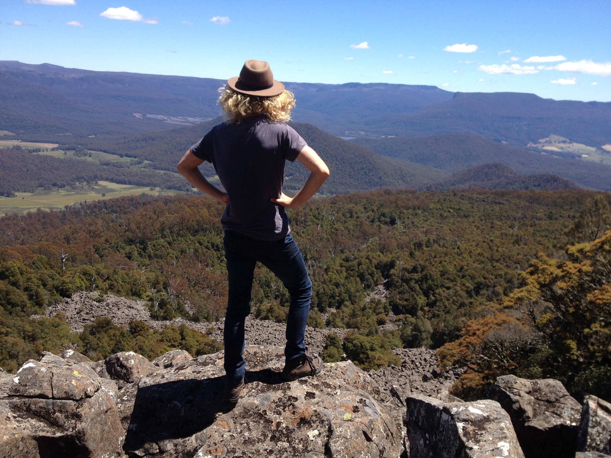 forest walks lodge, Great WEstern tiers Tasmania, short walks in Tasmania