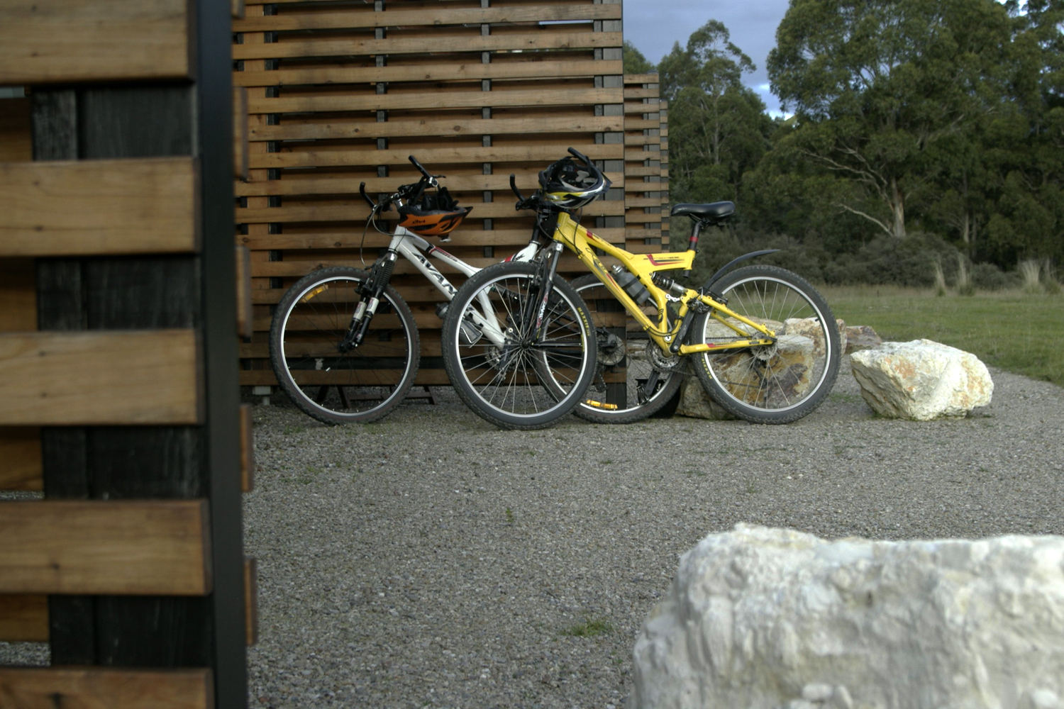 cycling at Forest Walks Lodge Deloraine Accommodation